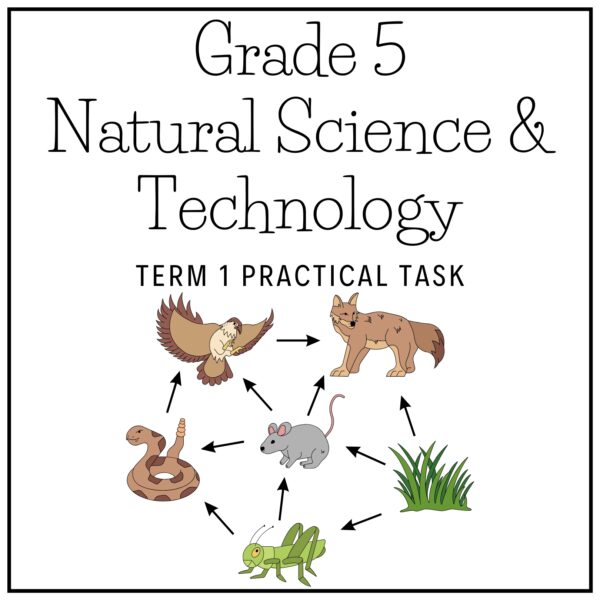 Grade 5 Natural Science & Technology Term 1 2026 Practical Task