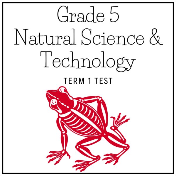 Grade 5 Natural Science & Technology Term 1 2026 Test