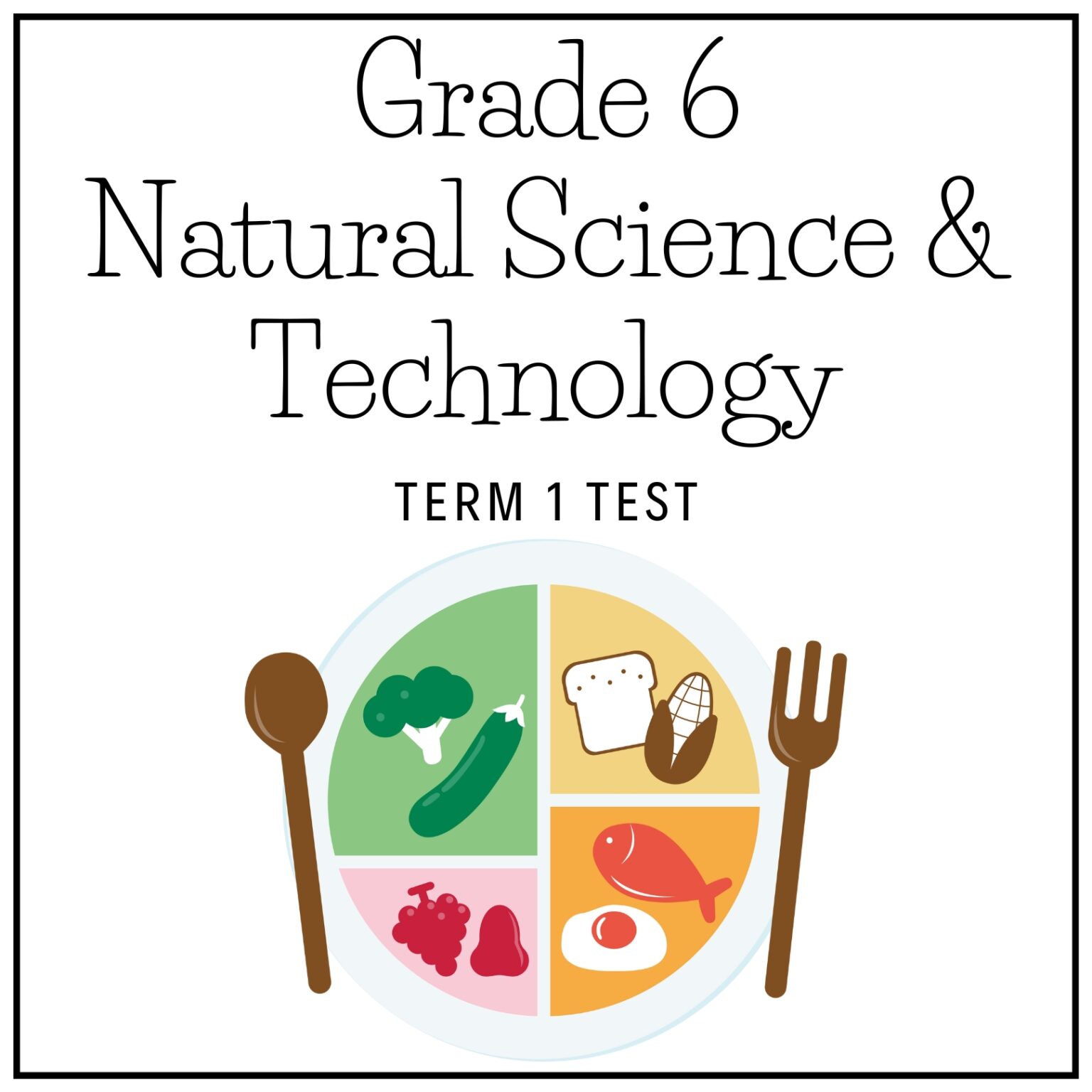 Grade 6 Natural Science & Technology Term 1 2026 Test – teacherslighthouse