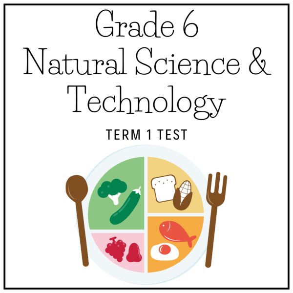 Grade 6 Natural Science & Technology Term 1 2026 Test