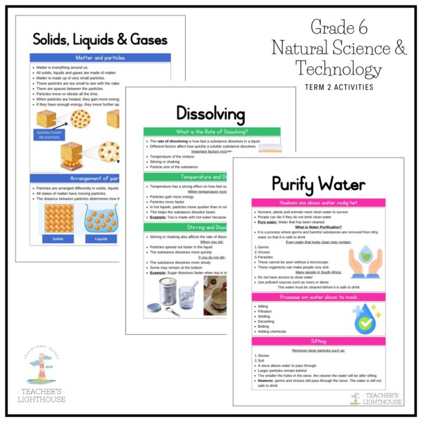 Grade 6 Natural Science & Technology Term 2 2026 Planning & Activities ...