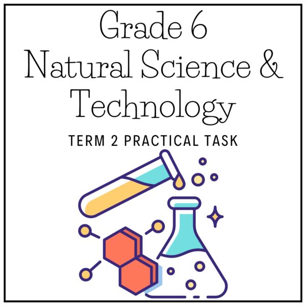 Grade 6 Natural Science & Technology Term 2 2026 Practical Task