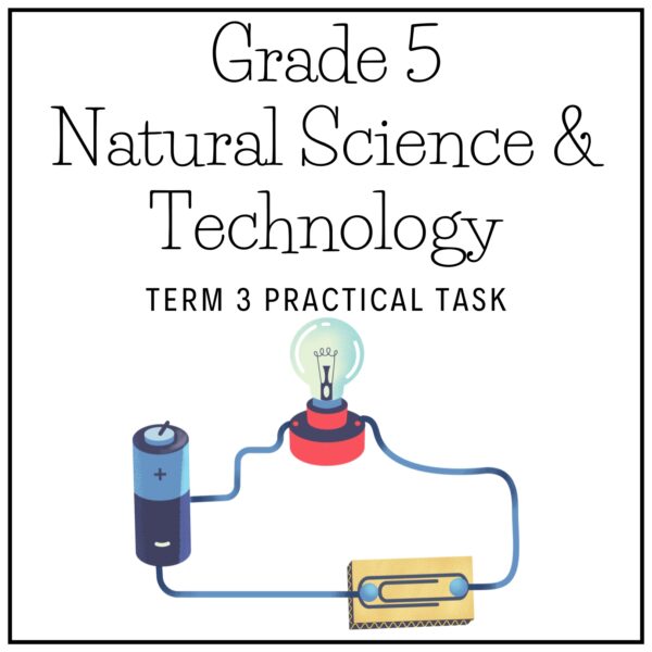 Grade 5 Natural Science & Technology Term 3 2026 Practical Task