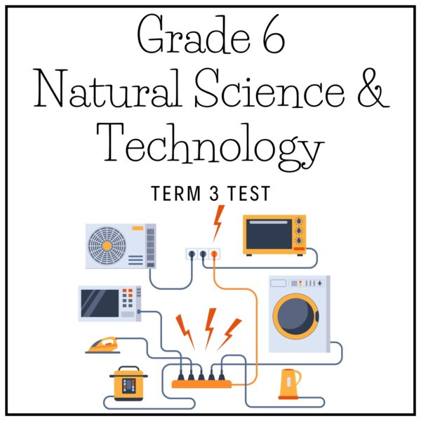 Grade 6 Natural Science & Technology Term 3 2026 Test